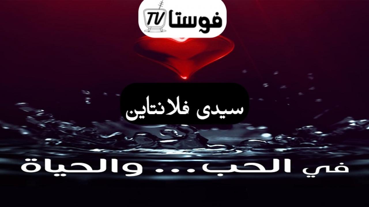 مسلسل في الحب والحياة الحلقة 8 الثامنة والاخيرة ( حكاية سيدى فلانتاين )
